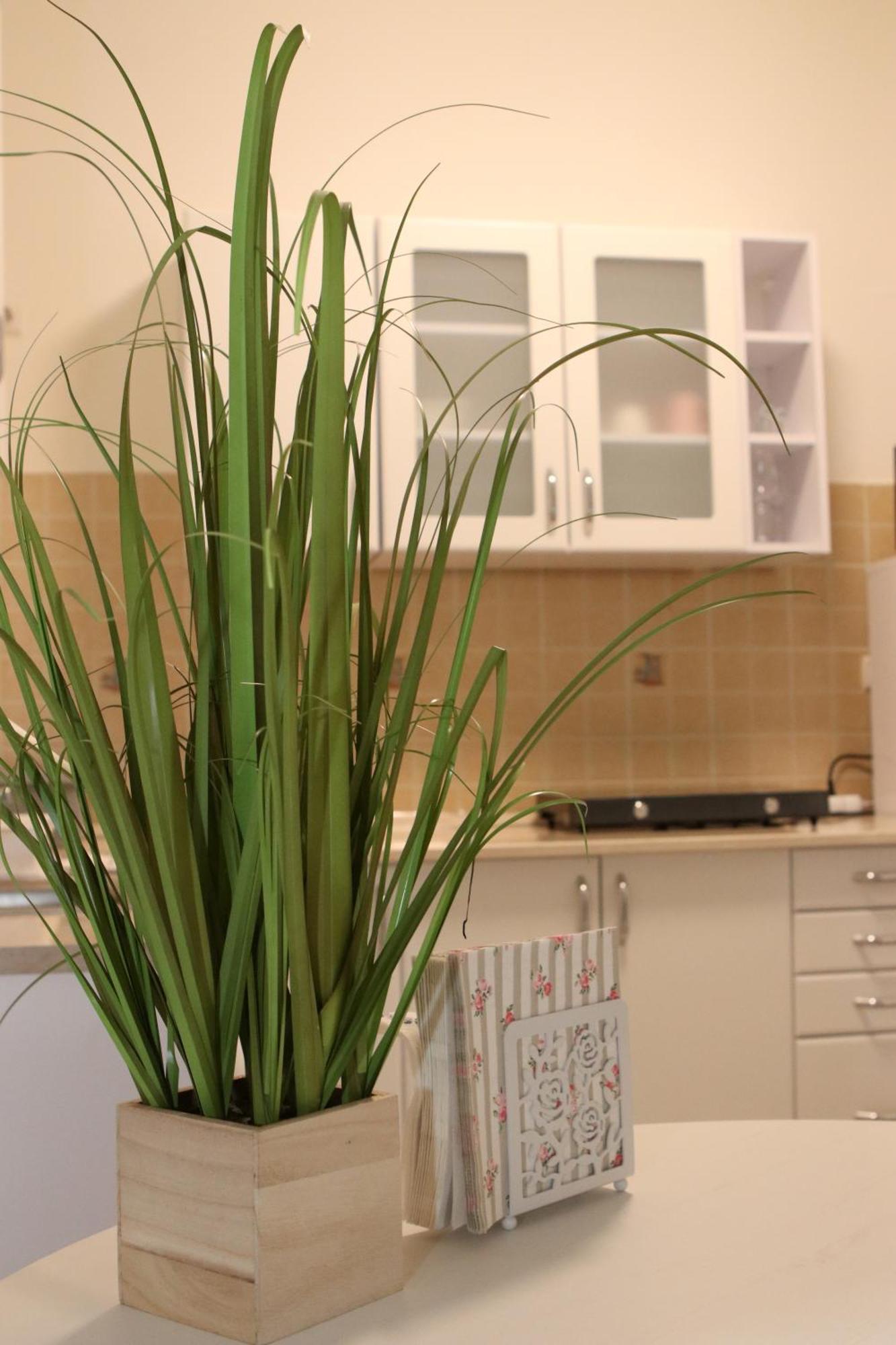 Tulipan Apartman Gödöllő Buitenkant foto